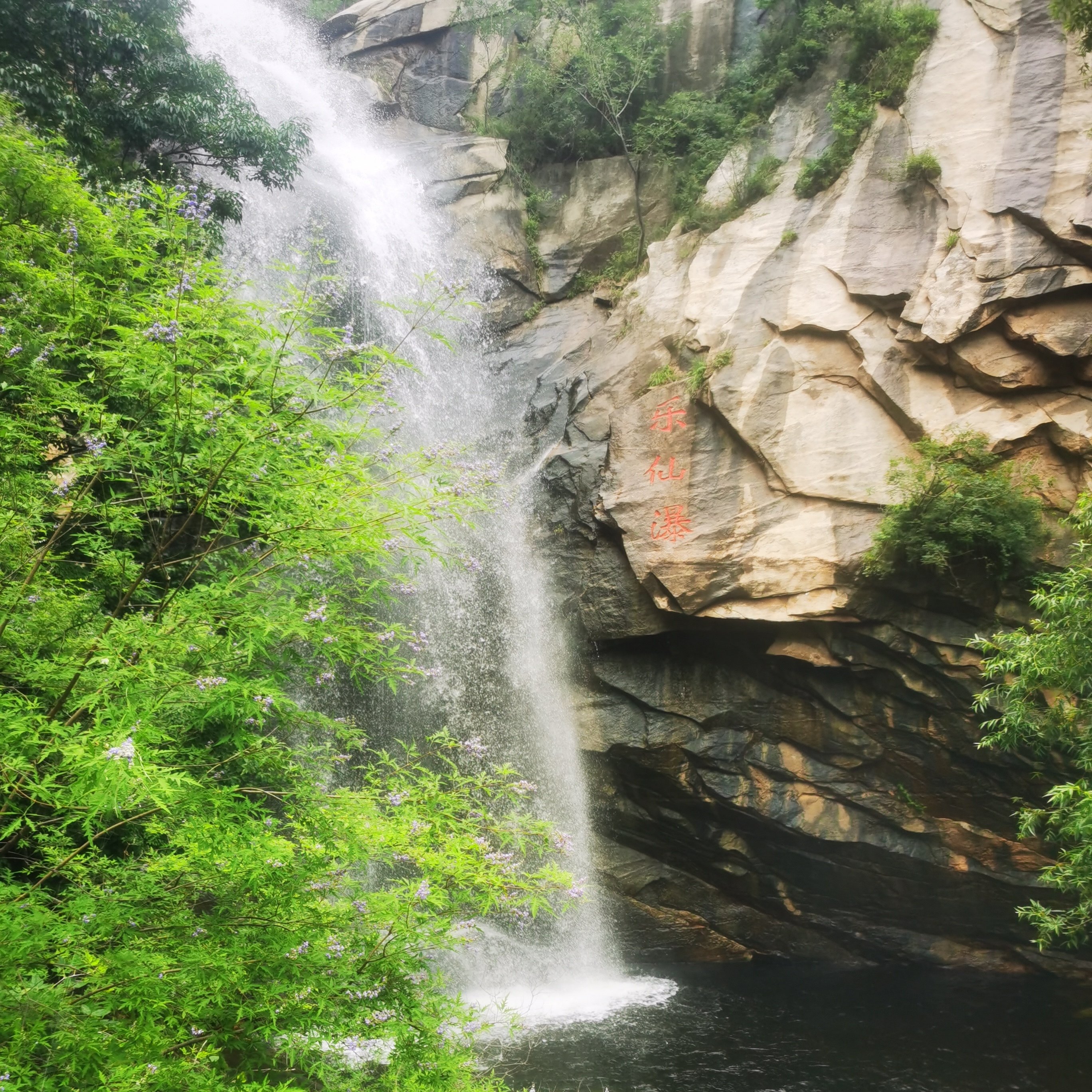 生命诚可贵，正理价更高 - 语言模型生成